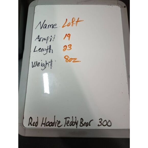 Loft Shirt Ladies Small Ivory Lace Short Sleeve‎ Round Neck - Picture 8 of 8